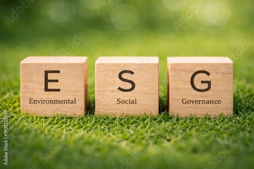 Environmental Social Governance ESG Wooden Blocks on Green Grass