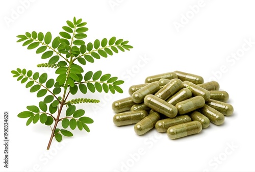 Chanca Piedra herbal supplement capsules and fresh green branch of Chanca Piedra plant isolated on white background 
