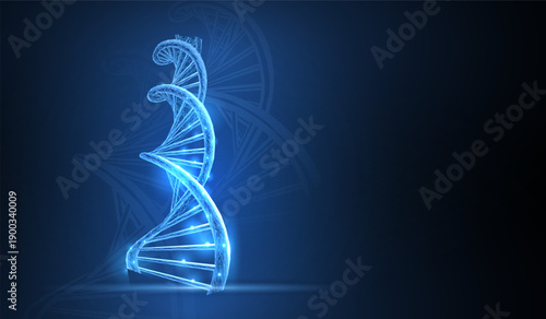 DNA. Abstract 3d polygonal wireframe dna molecule helix spiral on white background.