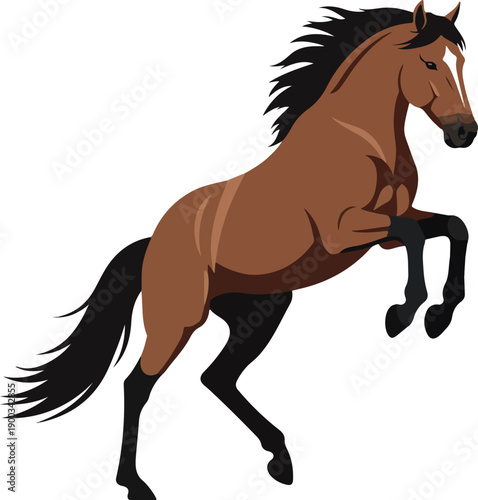 Brown Horse Rearing Up With Black Mane And Tail White Marking