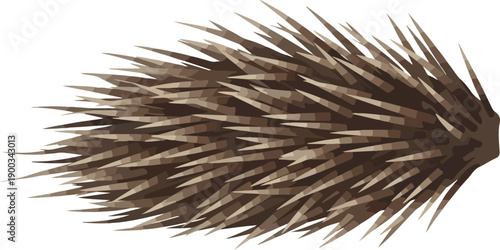 Brown Porcupine Quills Isolated Object Natural Texture