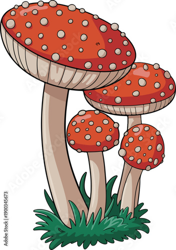 fly agaric amanita muscaria