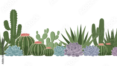 Wide horizontal illustration showing a diverse row of green cacti and purple succulents in various shapes and sizes on white.