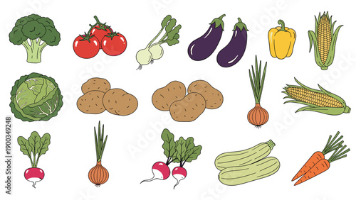 Large set of various fresh vegetables hand drawn in a flat cartoon style including tomatoes corn carrots and eggplant on white background.