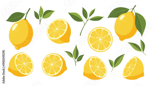 Collection of fresh yellow lemons with green leaves showing whole fruits half slices and quarters in a vibrant hand drawn style on white background.