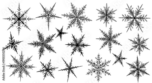 Vector illustration of a classic balloon whisk in black and white, simple and clean graphic for culinary websites or cooking tutorials.