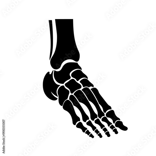 Black Silhouette of Human Foot Skeleton Anatomy.