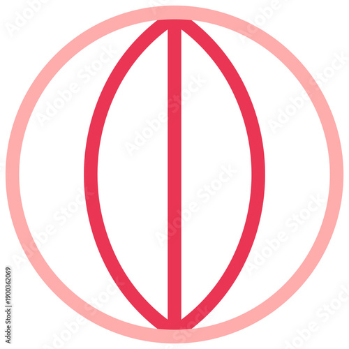 Longitude Outline Color Icon