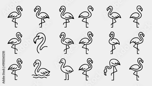 A set of black line drawings of flamingos in various poses on a light gray background with a minimalist style.