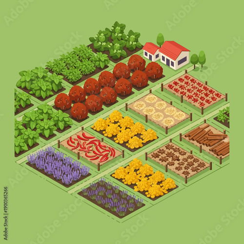 Isometric garden landscape with various crops and a house.