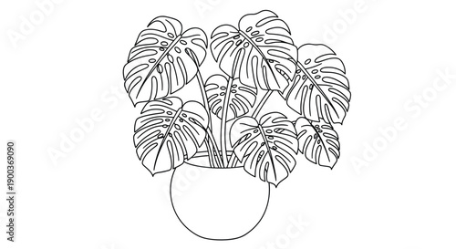 Elegant black and white line art illustration of a lush Monstera houseplant in a simple pot, showcasing its iconic split leaves.