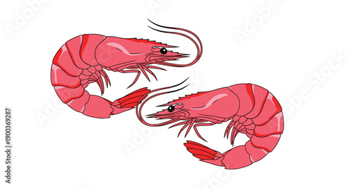 Two vibrant pink shrimp with long antennae and detailed segmented bodies suggesting a fresh seafood delicacy or culinary ingredient.