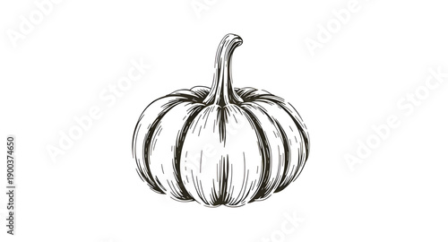 pumpkin, squash, gourd, vegetable, autumn, harvest, seasonal, halloween, orange, round, stem, leaf, organic, natural, farm, garden, rustic, handdrawn, sketch, doodle, outline, lineart, ink, artistic, 