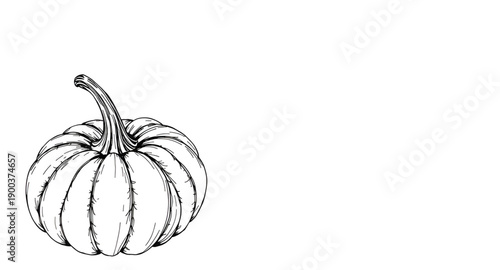 pumpkin, squash, gourd, vegetable, autumn, harvest, seasonal, halloween, orange, round, stem, leaf, organic, natural, farm, garden, rustic, handdrawn, sketch, doodle, outline, lineart, ink, artistic, 