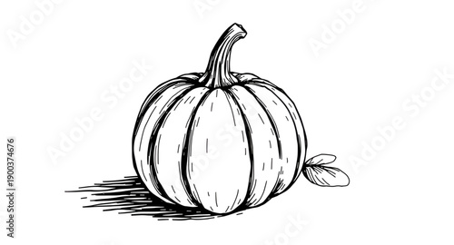 pumpkin, squash, gourd, vegetable, autumn, fall, harvest, halloween, thanksgiving, seasonal, orange, ribbed, stem, organic, natural, farm, garden, rustic, handdrawn, sketch, doodle, outline, lineart, 