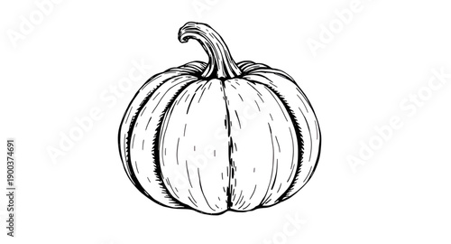 pumpkin, squash, gourd, vegetable, autumn, harvest, halloween, seasonal, orange, stem, leaf, organic, natural, farm, garden, rustic, handdrawn, sketch, doodle, outline, lineart, ink, artistic, illustr