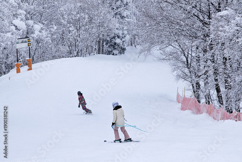 Skier and snowboarder descending snowy slope lined with trees in Madarao, Japan