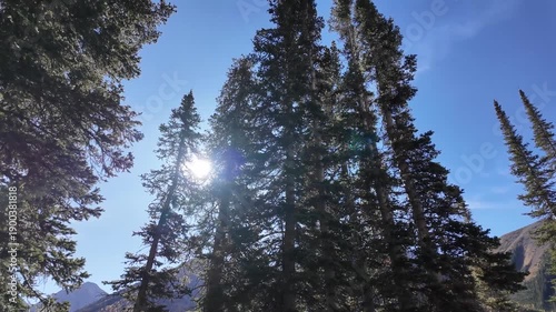 Wallpaper Mural Canadian Rockies in the summer Torontodigital.ca