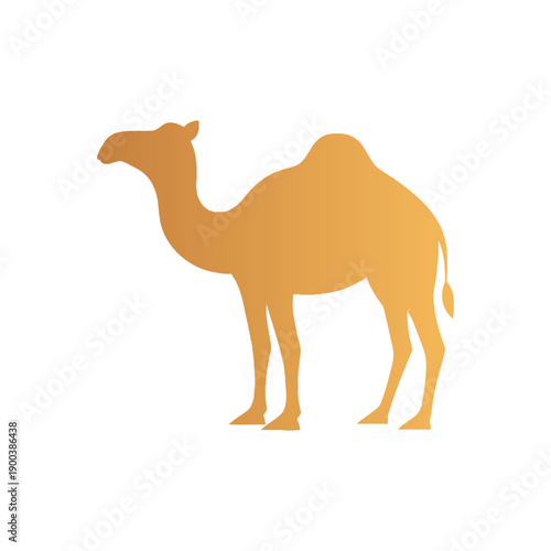 Arabian Camel Desert Silhouette