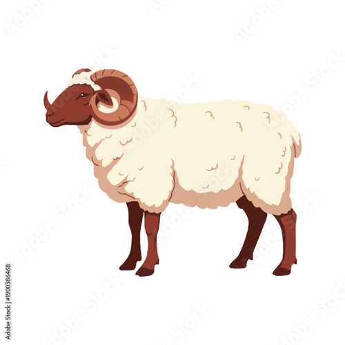 Sheep vector Illustration