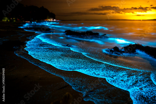 Bioluminescence glowing blue along shallow shoreline water at Jervis Bay, New South Wales, Australia, created by natural marine microorganisms at night.