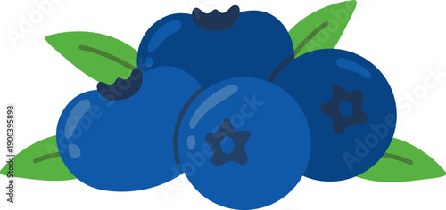 Healthy and Fresh Blueberry Fruit