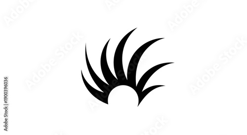 Black eyelashes isolated on white.