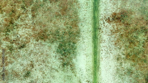 Top down aerial perspective of a vertical green waterway through a dormant winter landscape with patches of brown vegetation and light green moss