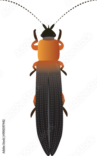 Detailed insect vector suitable for educational materials, pest control concepts, and agricultural research visuals.