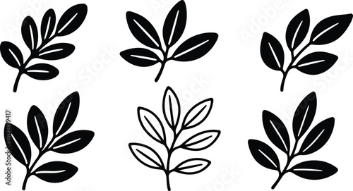 black and white leaf illustrations in different styles and orientations