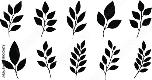 black silhouettes of various leafy branches on white background