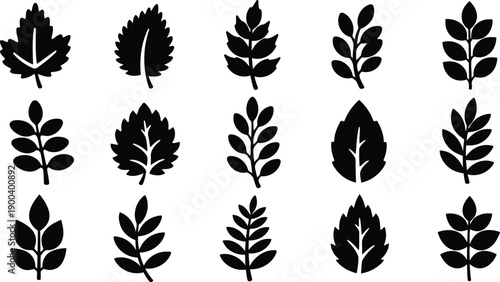 Collection of various leaf silhouettes on white background