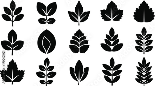 Collection of various leaf silhouettes on white background