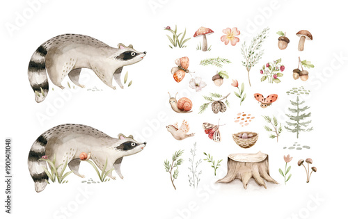 Watercolor cute baby raccoon animal. Woodland nursery isolated whimsical illustration soft pastel for children. watercolour stump and acorn forest drawing with floral elements.