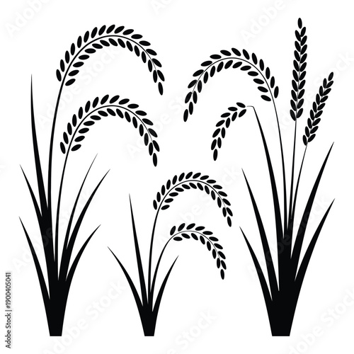 Stylized black silhouette vector illustration set depicting various groupings of asian rice plants and wheat stalks with mature grain heads suitable for farm harvest and natural food