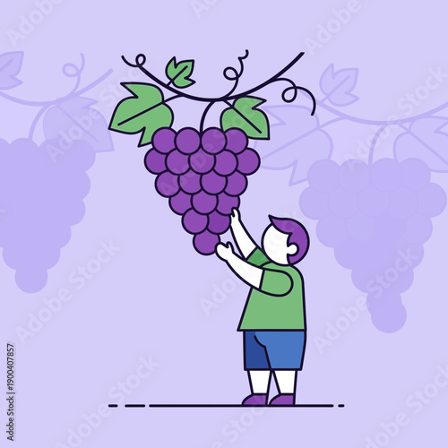 Child Picking A Healthy Bunch Of Purple Grapes From The Vine With A Simple Cartoon Style