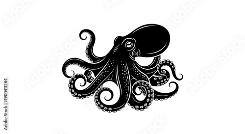 Quadro su tela Black octopus with curled tentacles illustration.