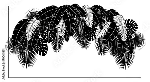 Collection of various feather shapes.