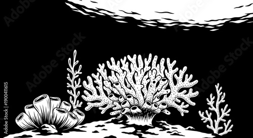 Coral Reef with Sea Fan Marine.