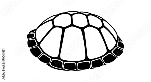 Detailed turtle shell close up view.