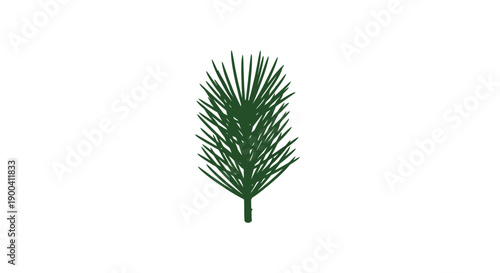 Pine tree branch with green needles.