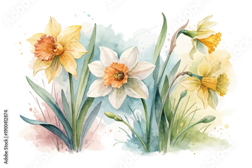 Spring Daffodil Watercolor Flower, Cheerful Botanical Illustration Isolated on White