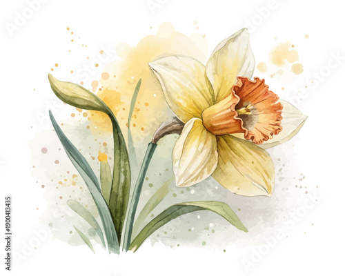 Watercolor Daffodil Bloom, Bright Yellow Spring Floral Vector Illustration Isolated on White