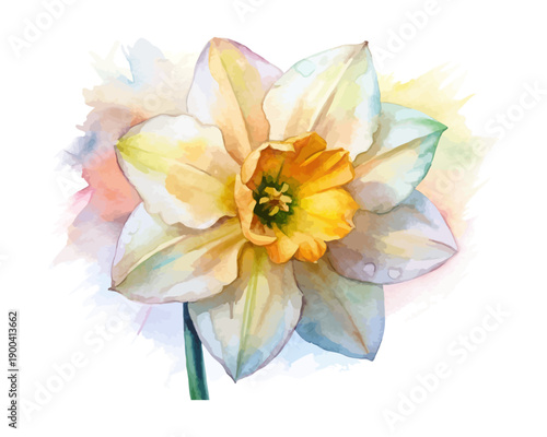 Spring Daffodil Watercolor Flower, Cheerful Botanical Illustration Isolated on White