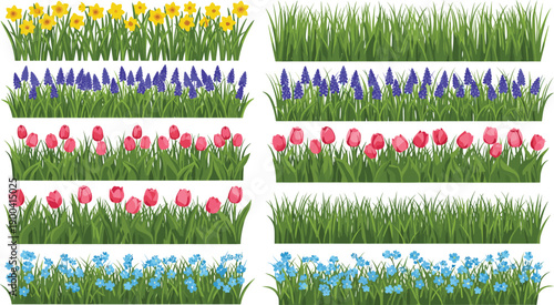 Set of spring flower borders and green grass tufts with tulips daffodils muscari and forget me nots isolated on white background for garden design