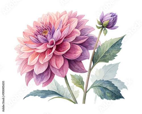 Bright Dahlia Watercolor Flower, Decorative Floral Illustration Isolated on White