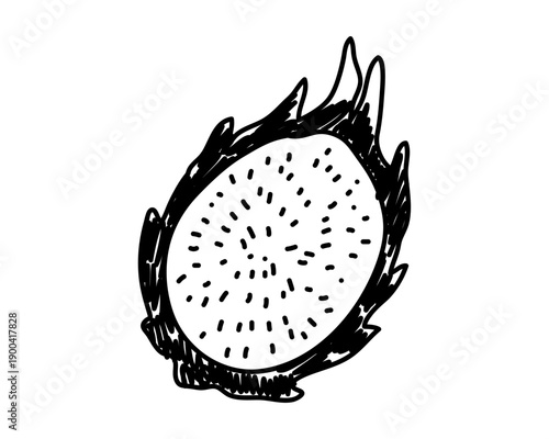 Doodle hand-drawn dragon fruit seeds. Minimalist line art Vector illustration Editable stroke.