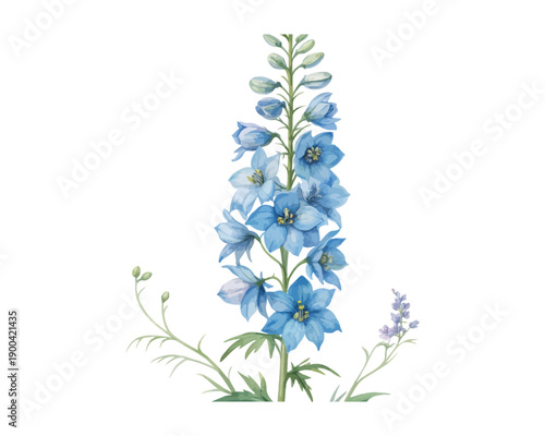 Watercolor Delphinium Flower Clipart, Tall Blue Floral Art, vector illustration Isolated on White background