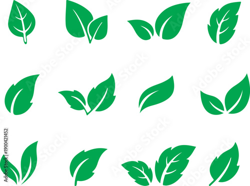Green Leaf Icon Set for Eco Nature and Organic Design Vector illustration