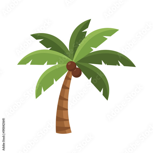 Cartoon Coconut Palm Tree with Coconuts and Green Leaves, Isolated on White Background